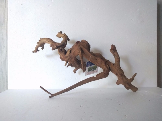 Picture of DRIFTWOOD-PACIFIC 10"-14"