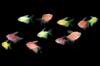 Picture of GLOFISH(R)TETRA-LONGFIN MOONRISE PINK(R)