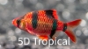 Picture of GLOFISH(R)-BARB STARFIRE RED(R)BARB(NO PR)