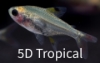 Picture of TETRA-X-RAY     