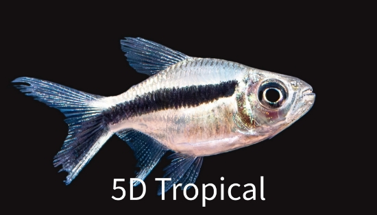 Picture of TETRA-PENGUIN BALLOON       