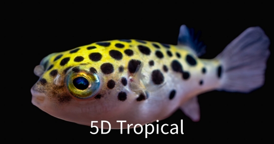 Picture of PUFFER GREEN SPOTTED (FW)-          