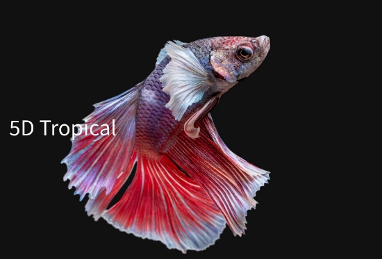 Picture of SUP DEL DUMBO MALE-      