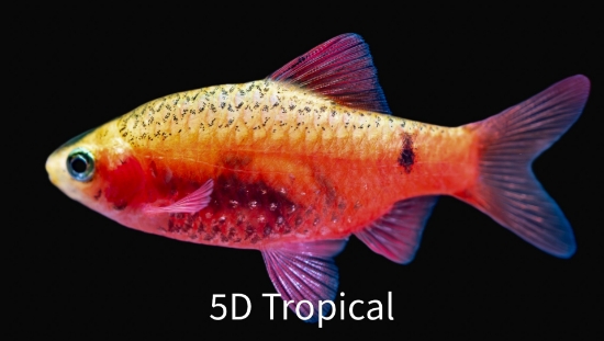 Picture of BARB - RED GLASS         