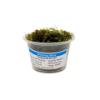 Picture of PLANT-WEEPING MOSS PORTION