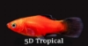 Picture of PLATY-RED WAG       